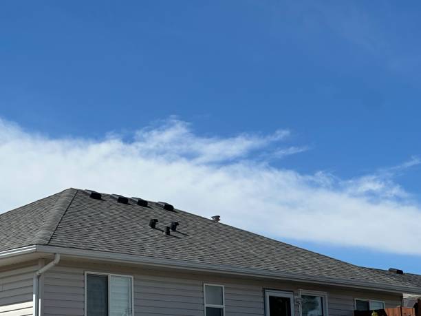 Best Gutter Installation and Repair  in Clovis, CA